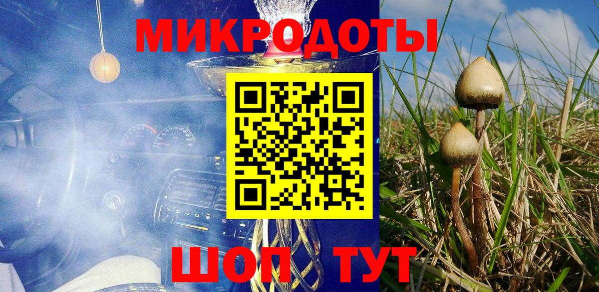Галлюциногенные грибы Cubensis  Вход с VPN  Чапаевск 